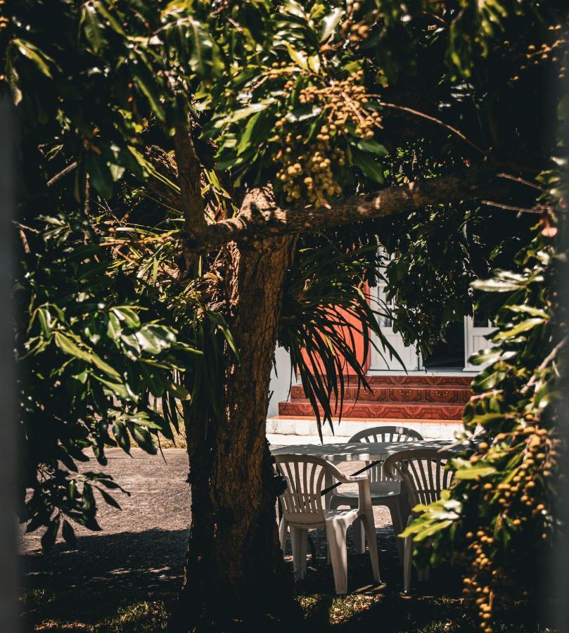 Gite Les Bananiers Saint-Joseph Dış mekan fotoğraf